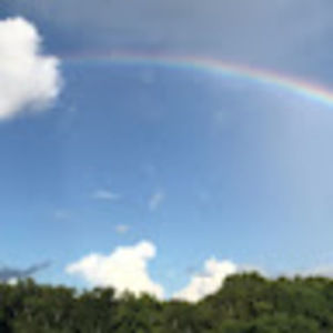 Meet your Posher, Shelly